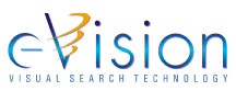 eVision small logo