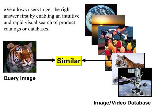 search for similar images