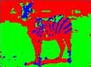 zebra map